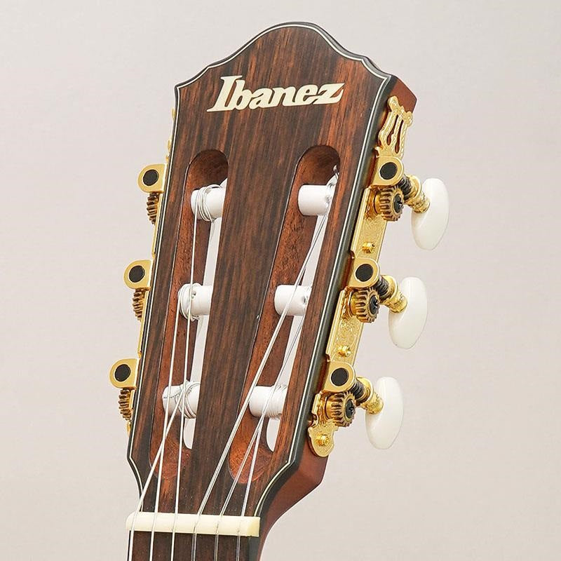 USED_​​FRH10N-NTF_(Junk_Item)_Ibanez_11