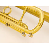 USED_​​NYTCE_(New_York_Trumpet_Company)___Broadway_SCL_[Bb_Trumpet]_04