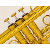 USED_​​NYTCE_(New_York_Trumpet_Company)___Broadway_SCL_[Bb_Trumpet]_05