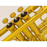 USED_​​NYTCE_(New_York_Trumpet_Company)___Broadway_SCL_[Bb_Trumpet]_08