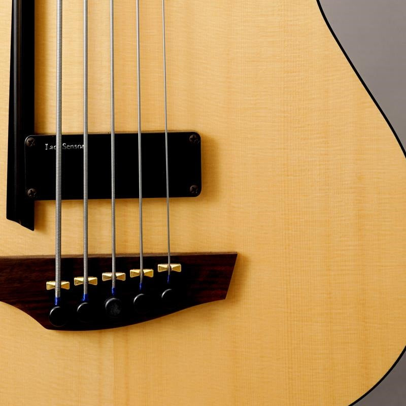 A5_Ultra_Fretless_AE_Natural_[Summer_Bonus_Sale]_10