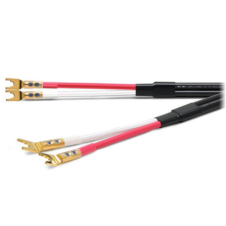 ACROSS3000_SGY_2_5m_(speaker_cable_with_Y-lug_terminal)_01