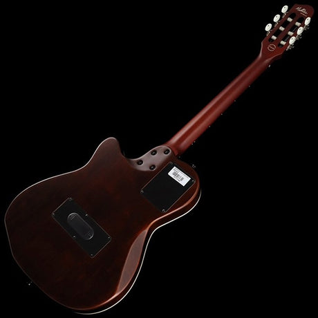ACS_Slimneck_(NAT)_Godin_03