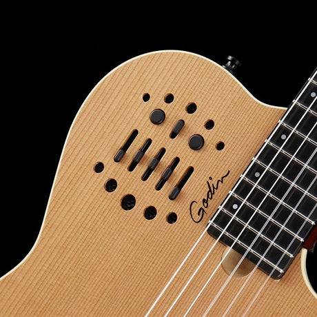 ACS_Slimneck_(NAT)_Godin_07