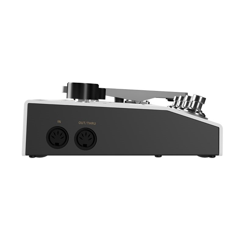 AMPERO_II_(Hot_Tone)_Multi-Effector_Ampero_07