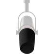 AMV7+WS_(MV7+_replacement_windscreen)_01
