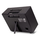 ARTIST_FR_SPECIAL_(100W)_Powered_Speaker_05