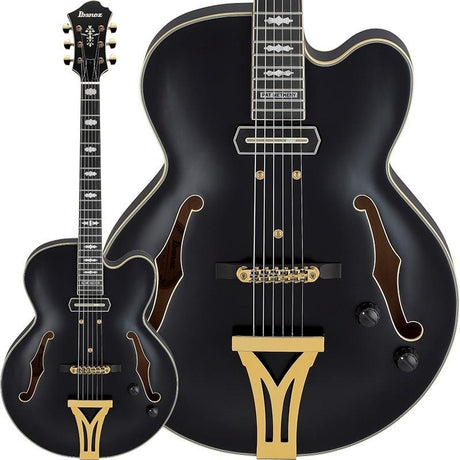 ARTSTAR_PM3C-BKL_(Black_Low_Gloss)_[Pat_Metheny_Model]_[SPOT_MODEL]_01