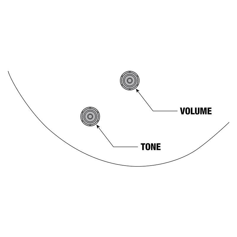 ARTSTAR_PM3C-BKL_(Black_Low_Gloss)_[Pat_Metheny_Model]_[SPOT_MODEL]_07