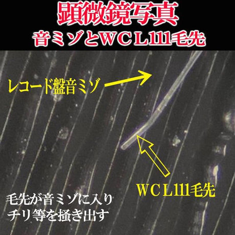 Argent_WET_WCL111_(Record_Wet_Brush)_07