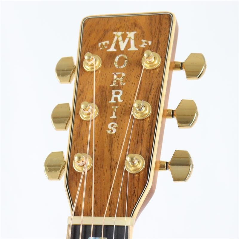 [Autumn_Super_Sale]_Used_TF-LTD_Morris_Ikeberi_Youth_Certified_Pre-Owned_Instrument_05