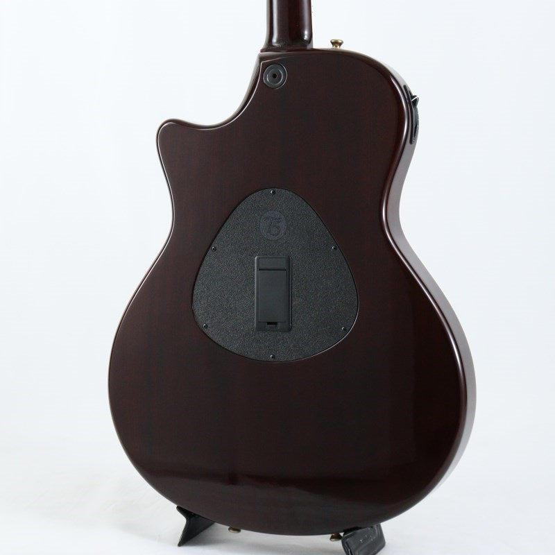 [Autumn_Super_Sale]_Used_Taylor_T5-C2_KOA_(2001_Model)_03