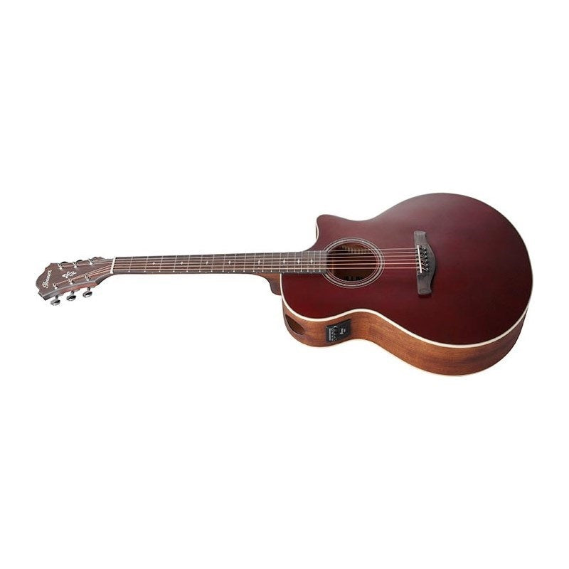 [Autumn_Super_Sale]_[Special_Price]_Ibanez_AE100-BUF_02