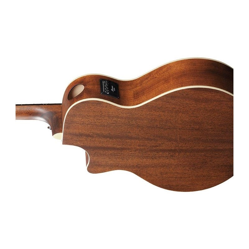 [Autumn_Super_Sale]_[Special_Price]_Ibanez_AE100-BUF_04