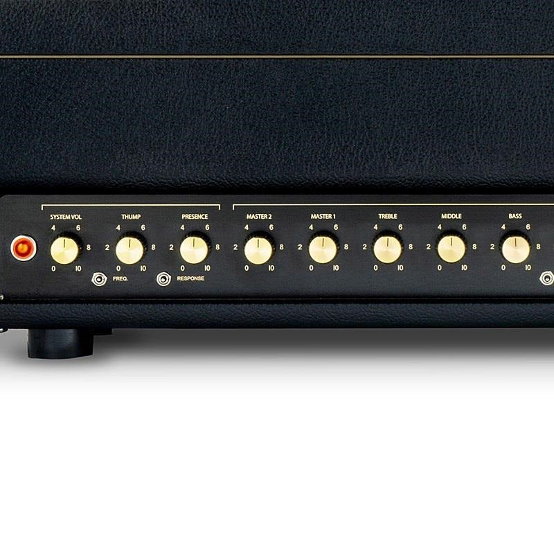 BE-100_DELUXE_[100W_HEAD]_(Friedman)_04