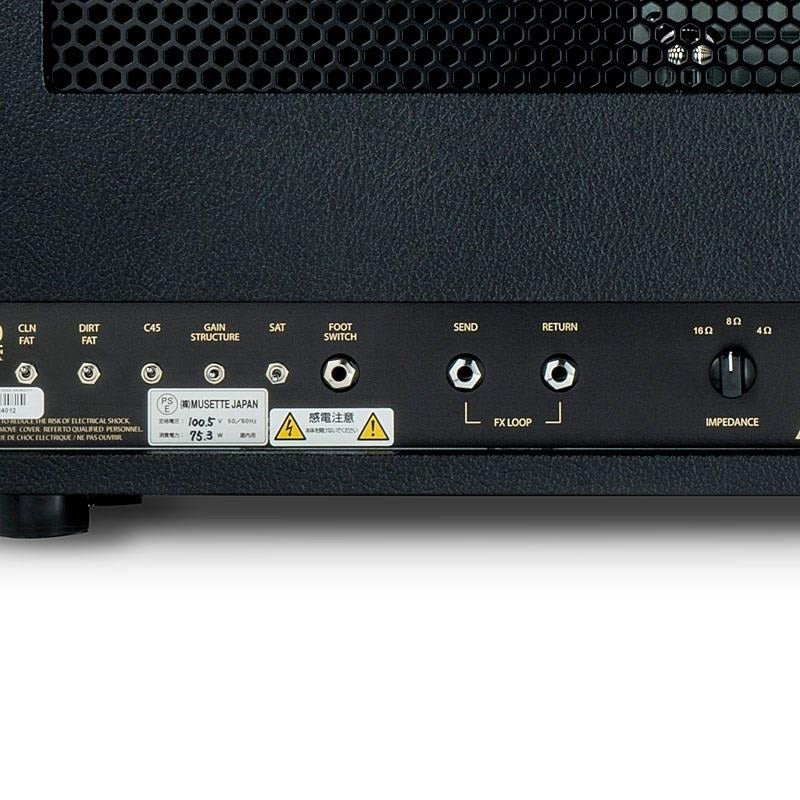 BE-100_DELUXE_[100W_HEAD]_(Friedman)_06