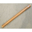 BG-186PS_[Rain_Stick_Plastic]_01