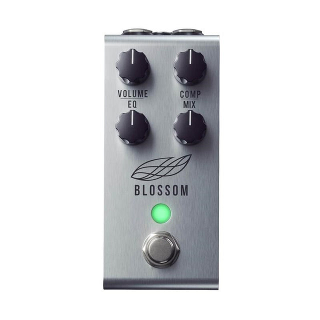 BLOSSOM_01