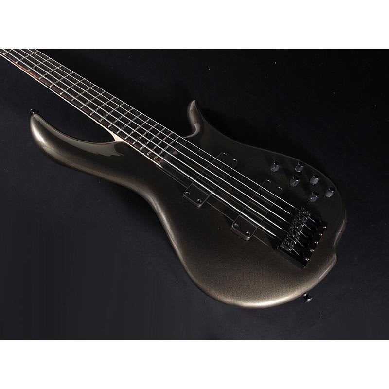 BN5-ZE_Macassar_Ebony_Fingerboard，_Hipshot_A_Style_Bridge_05