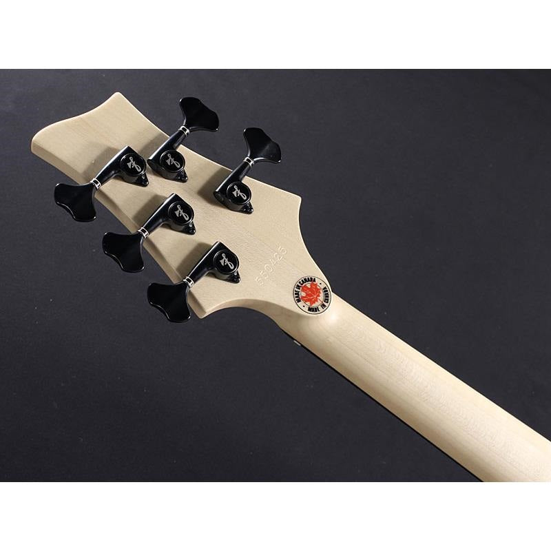 BN5-ZE_Macassar_Ebony_Fingerboard，_Hipshot_A_Style_Bridge_09