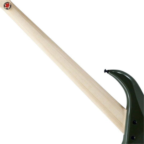 BN5_Alder_body_(Evergreen_Gloss_with_Black_Hardware)_10