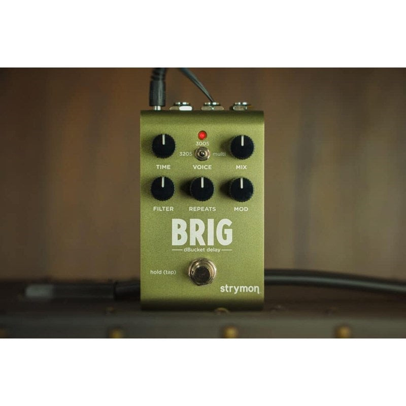 BRIG_[dBucket_Delay]_(Strymon)_Delay_03