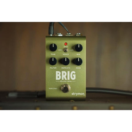 BRIG_[dBucket_Delay]_(Strymon)_Delay_03
