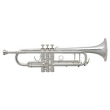 Bach_TR-400_SP_Bb_Trumpet_(Pre-tuned_for_peace_of_mind)_01
