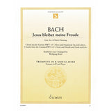 Bach__Jesu，_Joy_of_Man's_Desiring___Arranged_by_Birtel_[Autumn_Super_Sale]_01