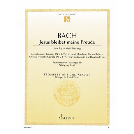 Bach__Jesu，_Joy_of_Man's_Desiring___Arranged_by_Birtel_[Autumn_Super_Sale]_01