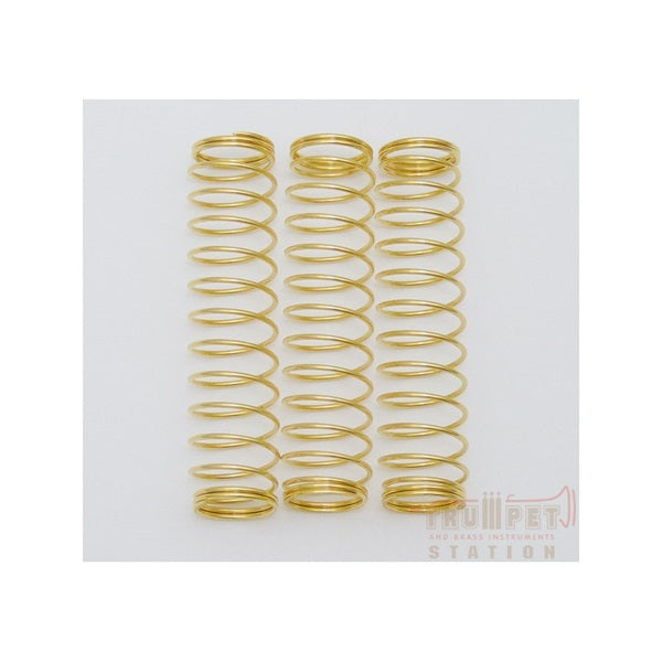 Bach___Genuine_Piston_Spring_for_Trumpet_GP_1_Set_(3_Pieces)_01