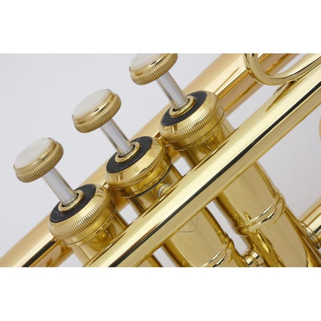 Bach___R170ML43_GL_[Bb_Trumpet]_[Brand_New，_Slightly_Damaged，_Super_Special_Price!!]_04
