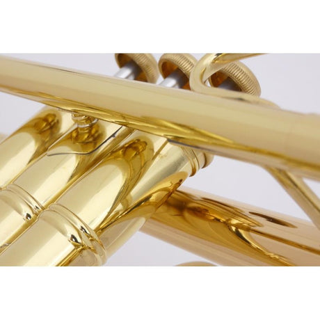 Bach___R170ML43_GL_[Bb_Trumpet]_[Brand_New，_Slightly_Damaged，_Super_Special_Price!!]_05