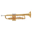 Bach___TR-600_GL_[Bb_Trumpet]_[Selected_by_Yuki_Sato]_[Pre-shipment_Adjustment_for_Peace_of_Mind]_01