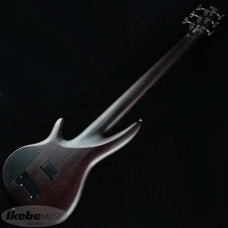 Bass_Workshop_SRF706-BBF_[Domestic_Ikebe_Exclusive_Limited_Edition_Model]_03