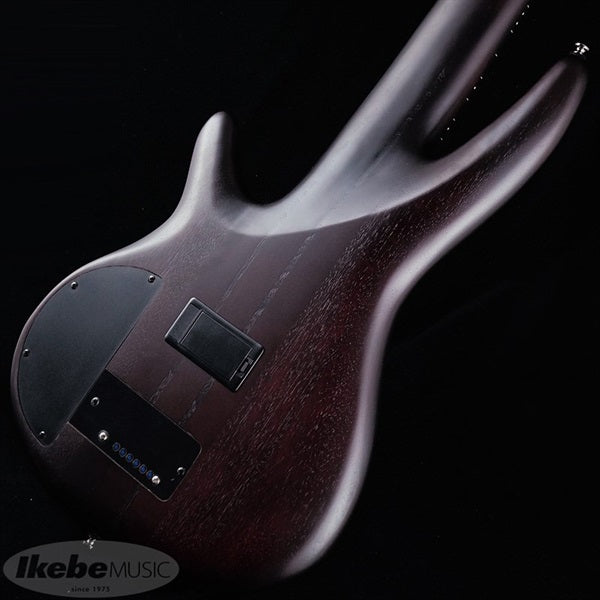 Bass_Workshop_SRF706-BBF_[Domestic_Ikebe_Exclusive_Limited_Edition_Model]_06