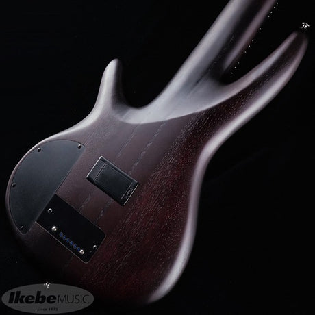 Bass_Workshop_SRF706-BBF_[Domestic_Ikebe_Exclusive_Limited_Edition_Model]_06