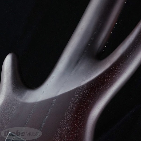 Bass_Workshop_SRF706-BBF_[Domestic_Ikebe_Exclusive_Limited_Edition_Model]_07