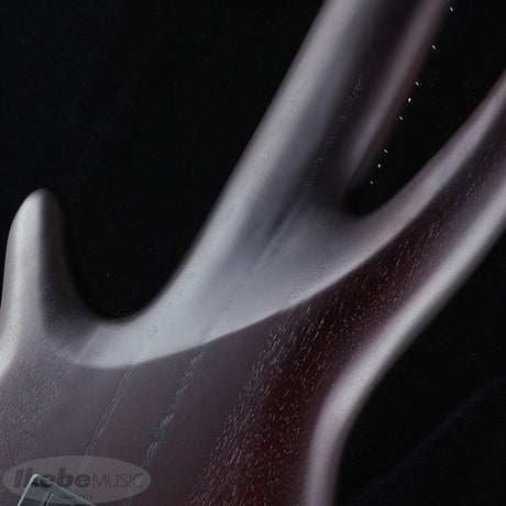 Bass_Workshop_SRF706-BBF_[Domestic_Ikebe_Exclusive_Limited_Edition_Model]_07