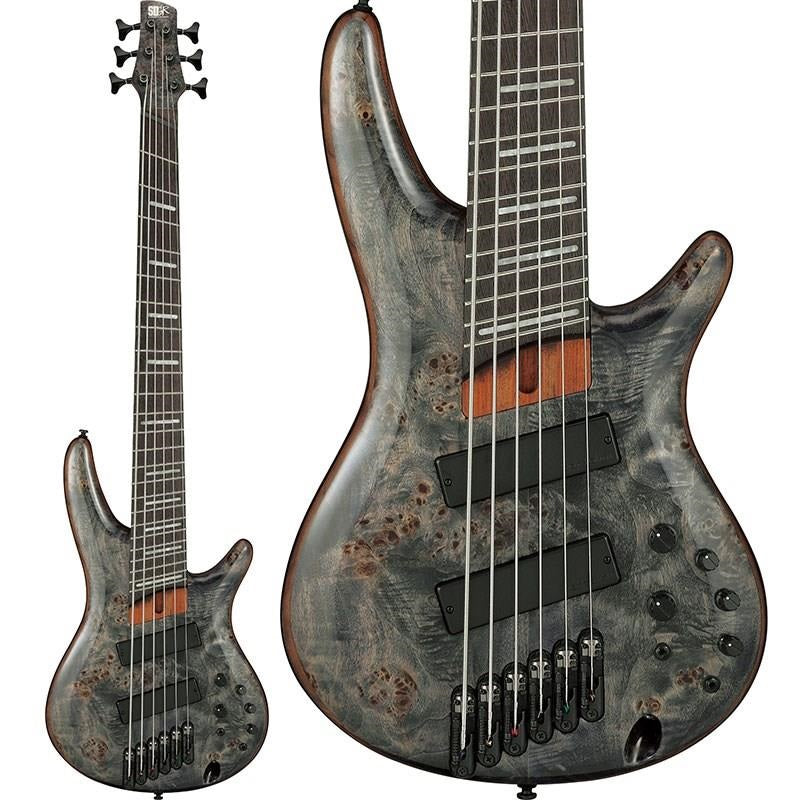 Bass_Workshop_SRMS806-DTW_[SPOT_MODEL]_[Special_Price]_01