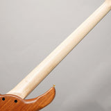 Beb-5_Burl_Karin_Fretless_06