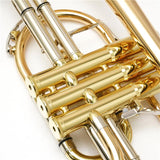 Besson___BE928GT-1-0_[Bb_Cornet]_[Selected_by_Roger_Webster]_[Pre-shipment_Adjustment_for_Peace_of_Mind]_05