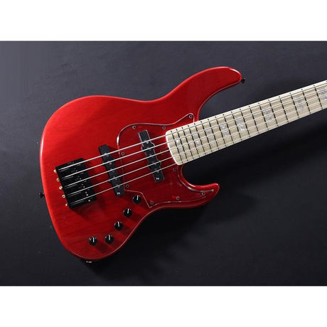 Beta_5_(TP-RED_M)_03