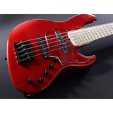 Beta_5_(TP-RED_M)_04