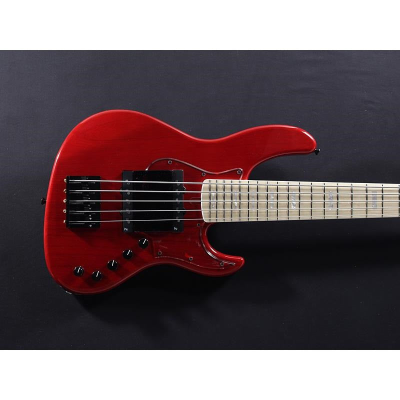 Beta_5_(TP-RED_M)_06