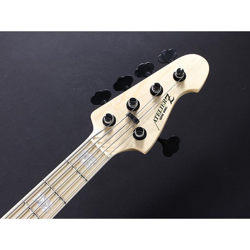 Beta_5_(TP-RED_M)_08