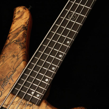 Blaze_5st___30_(Spalted_Sapopema_Top)_07