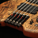 Blaze_5st___30_(Spalted_Sapopema_Top)_09