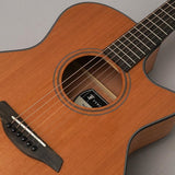 Blue_Plus_Gc-CMa_Forch_08