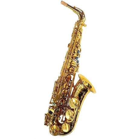 Brasspier_Unicorn_Alto_Saxophone_BPA1-GL_[Adjusted_and_Set_Up_Before_Shipment]_[Free_Key_Balance_Adjustment_for_5_Years]_[Autumn_Super_Sale]_01